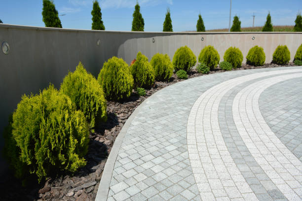 Best Driveway Paving Near Me  in Hiller, PA